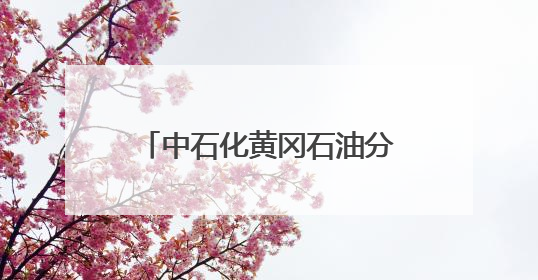 中石化黄冈石油分公司多措并举推进“安全生产月”系列活动走深走实