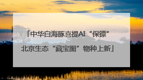 中华白海豚喜提AI“保镖” 北京生态“藏宝图”物种上新
