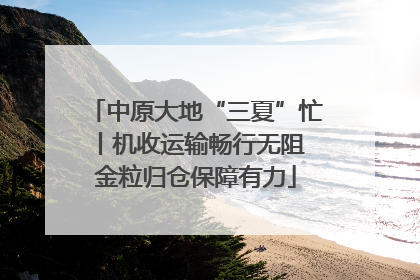 中原大地“三夏”忙丨机收运输畅行无阻 金粒归仓保障有力
