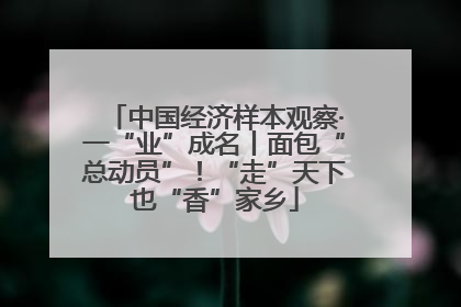 中国经济样本观察·一“业”成名丨面包“总动员”！“走”天下也“香”家乡