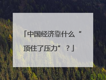 中国经济靠什么“顶住了压力”？