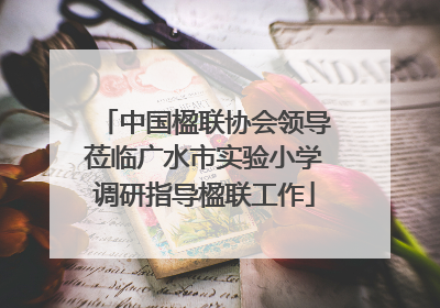 中国楹联协会领导莅临广水市实验小学调研指导楹联工作