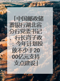中国邮政储蓄银行湖北省分行党委书记、行长肖子政：今年计划投放不少于2000亿元支持支点建设