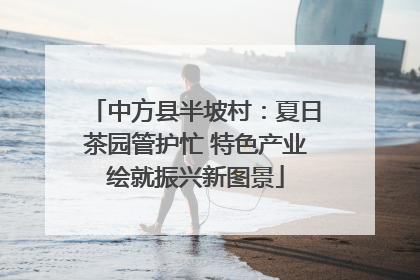 中方县半坡村：夏日茶园管护忙 特色产业绘就振兴新图景