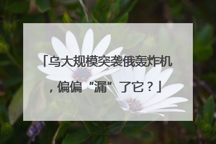 乌大规模突袭俄轰炸机，偏偏“漏”了它？