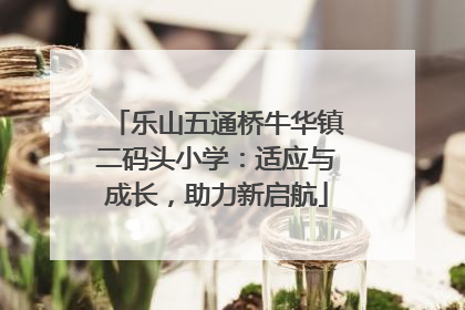 乐山五通桥牛华镇二码头小学：适应与成长，助力新启航