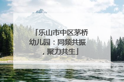 乐山市中区茅桥幼儿园：同频共振，聚力共生