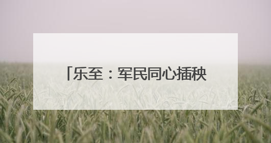 乐至：军民同心插秧忙 助力乡村振兴