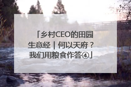 乡村CEO的田园生意经｜何以天府？我们用粮食作答④