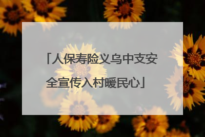 人保寿险义乌中支安全宣传入村暖民心