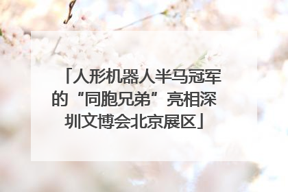 人形机器人半马冠军的“同胞兄弟”亮相深圳文博会北京展区