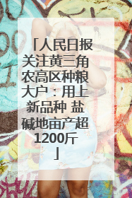 人民日报关注黄三角农高区种粮大户：用上新品种 盐碱地亩产超1200斤