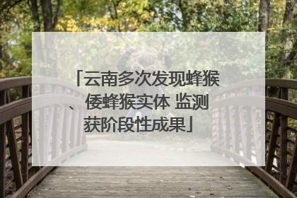 云南多次发现蜂猴、倭蜂猴实体 监测获阶段性成果