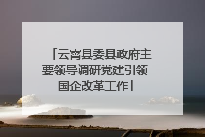 云霄县委县政府主要领导调研党建引领国企改革工作