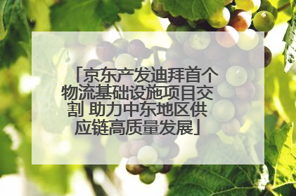 京东产发迪拜首个物流基础设施项目交割 助力中东地区供应链高质量发展