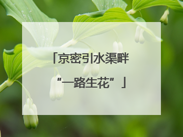 京密引水渠畔“一路生花”