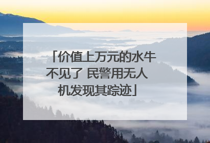 价值上万元的水牛不见了 民警用无人机发现其踪迹