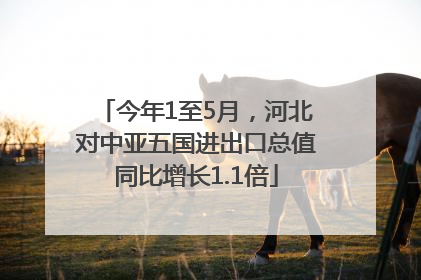 今年1至5月，河北对中亚五国进出口总值同比增长1.1倍