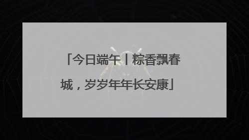 今日端午丨粽香飘春城，岁岁年年长安康