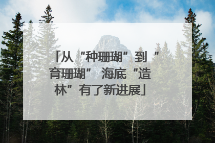 从“种珊瑚”到“育珊瑚” 海底“造林”有了新进展