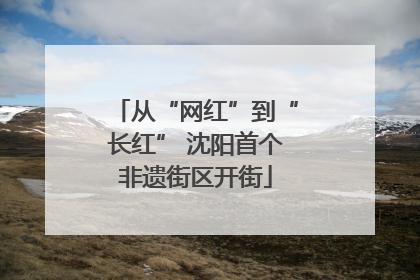 从“网红”到“长红” 沈阳首个非遗街区开街