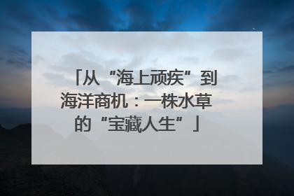 从“海上顽疾”到海洋商机：一株水草的“宝藏人生”