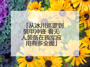从冰川巡逻到装甲冲锋 看无人装备在我军应用有多全面