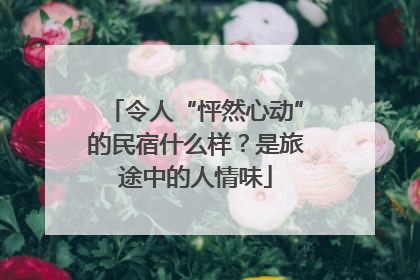 令人“怦然心动”的民宿什么样？是旅途中的人情味