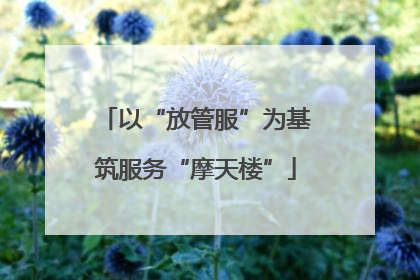 以“放管服”为基筑服务“摩天楼”