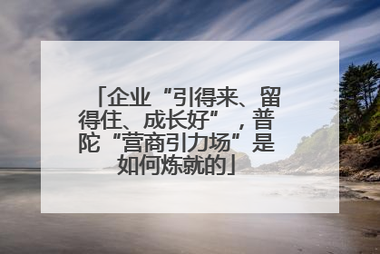 企业“引得来、留得住、成长好”，普陀“营商引力场”是如何炼就的