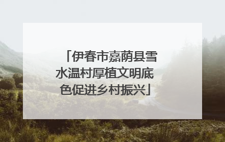 伊春市嘉荫县雪水温村厚植文明底色促进乡村振兴