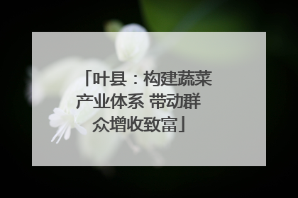叶县：构建蔬菜产业体系 带动群众增收致富