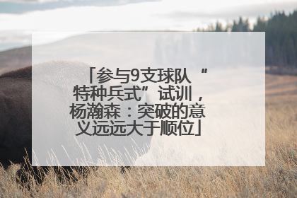 参与9支球队“特种兵式”试训，杨瀚森：突破的意义远远大于顺位