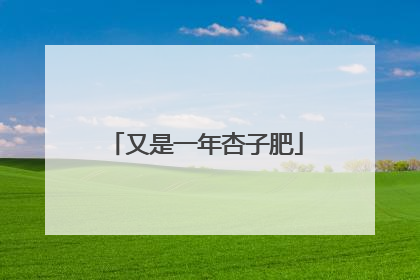 又是一年杏子肥