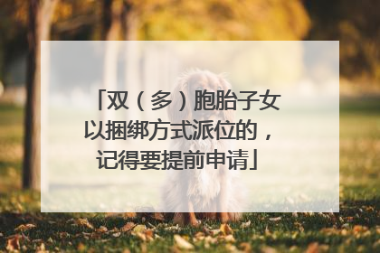 双（多）胞胎子女以捆绑方式派位的，记得要提前申请