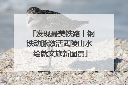 发现最美铁路丨钢铁动脉激活武陵山水 绘就文旅新图景
