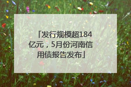 发行规模超184亿元，5月份河南信用债报告发布
