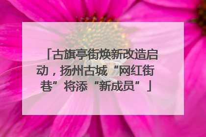 古旗亭街焕新改造启动，扬州古城“网红街巷”将添“新成员”