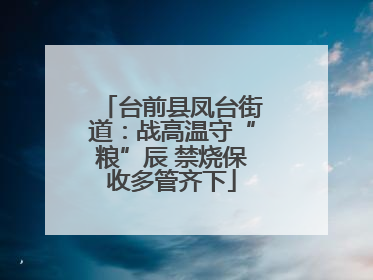 台前县凤台街道：战高温守“粮”辰 禁烧保收多管齐下