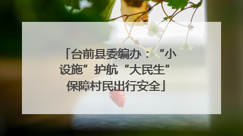台前县委编办：“小设施”护航“大民生” 保障村民出行安全