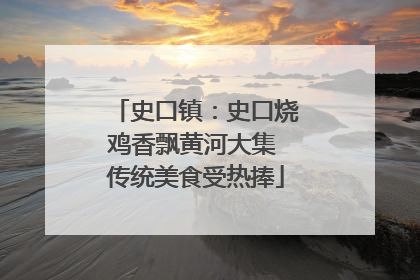 史口镇：史口烧鸡香飘黄河大集 传统美食受热捧