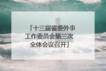 十三届省委外事工作委员会第三次全体会议召开