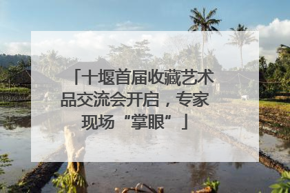 十堰首届收藏艺术品交流会开启，专家现场“掌眼”