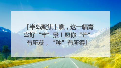 半岛聚焦丨瞧，这一幅青岛好“丰”景！愿你“芒”有所获，“种”有所得