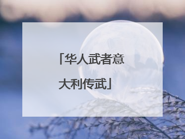 华人武者意大利传武