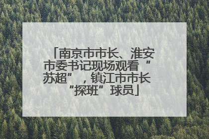 南京市市长、淮安市委书记现场观看“苏超”，镇江市市长“探班”球员