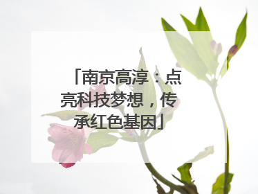 南京高淳：点亮科技梦想，传承红色基因