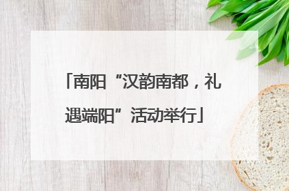 南阳“汉韵南都，礼遇端阳”活动举行