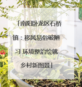 南阳卧龙区石桥镇：移风易俗破陋习 环境整治绘就乡村新图景
