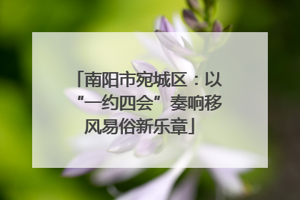 南阳市宛城区：以“一约四会”奏响移风易俗新乐章